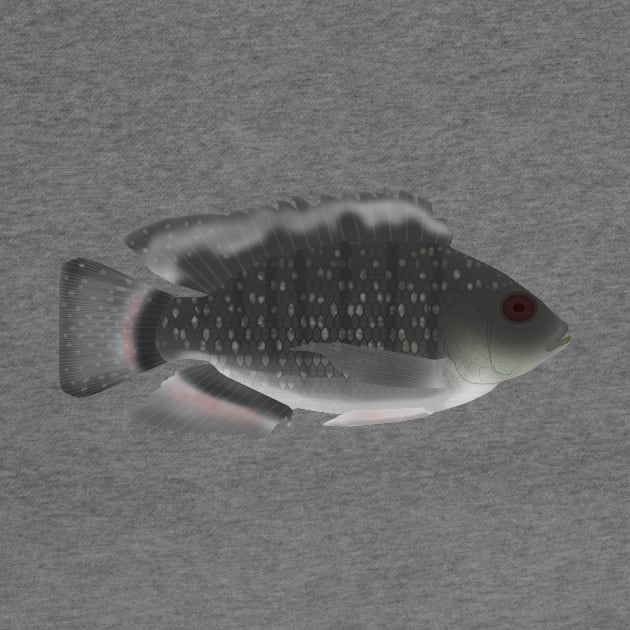 Blue Spotted Tilapia by FishFolkArt